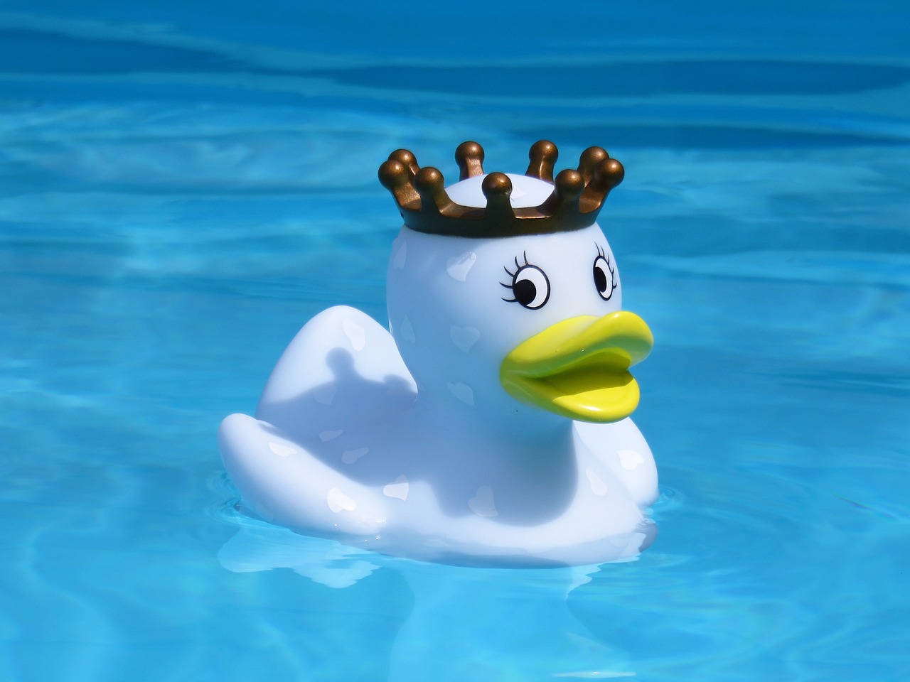 bath-duck-2545356_1280